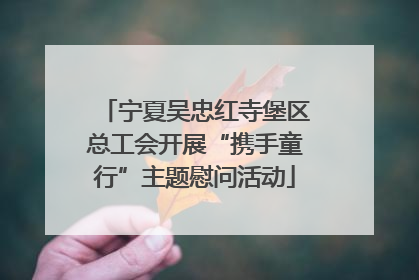 宁夏吴忠红寺堡区总工会开展“携手童行”主题慰问活动
