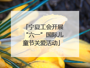 宁夏工会开展“六一”国际儿童节关爱活动