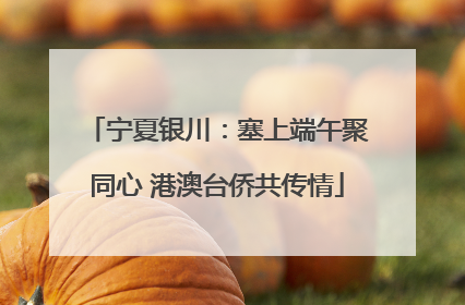 宁夏银川：塞上端午聚同心 港澳台侨共传情