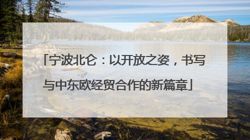 宁波北仑：以开放之姿，书写与中东欧经贸合作的新篇章