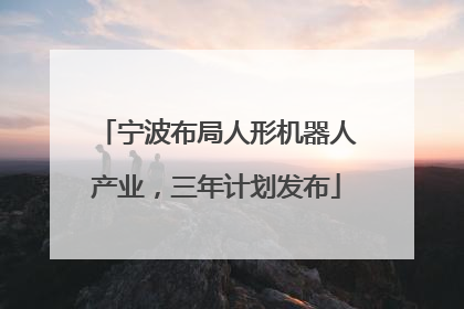 宁波布局人形机器人产业，三年计划发布