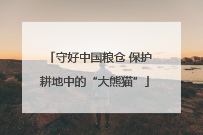 守好中国粮仓 保护耕地中的“大熊猫”