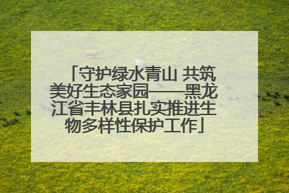 守护绿水青山 共筑美好生态家园——黑龙江省丰林县扎实推进生物多样性保护工作