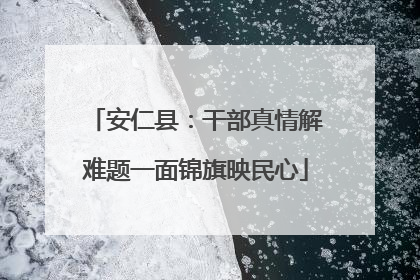 安仁县：干部真情解难题一面锦旗映民心