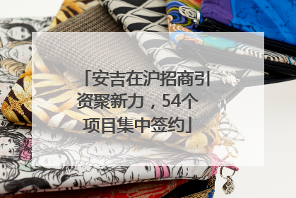 安吉在沪招商引资聚新力，54个项目集中签约