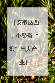 安徽岳西：小桑蚕“织”出大产业