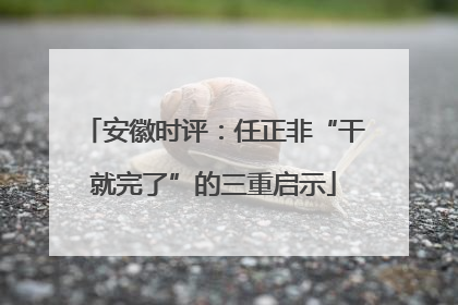 安徽时评：任正非“干就完了”的三重启示
