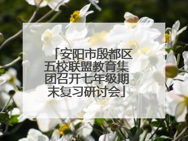 安阳市殷都区五校联盟教育集团召开七年级期末复习研讨会