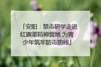 安阳：禁毒研学走进红旗渠精神营地 为青少年筑牢防毒防线