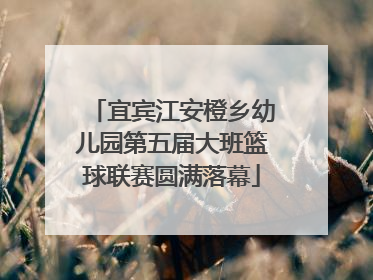 宜宾江安橙乡幼儿园第五届大班篮球联赛圆满落幕