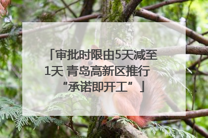 审批时限由5天减至1天 青岛高新区推行“承诺即开工”