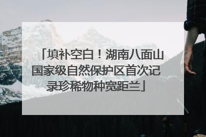 填补空白！湖南八面山国家级自然保护区首次记录珍稀物种宽距兰