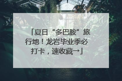 夏日“多巴胺”旅行地！龙岩毕业季必打卡，速收藏→