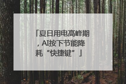 夏日用电高峰期，AI按下节能降耗“快捷键”