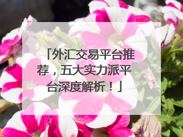 外汇交易平台推荐，五大实力派平台深度解析！