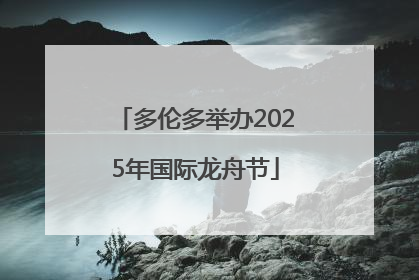 多伦多举办2025年国际龙舟节