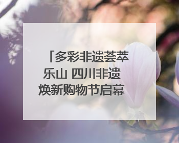 多彩非遗荟萃乐山 四川非遗焕新购物节启幕｜镜观四川