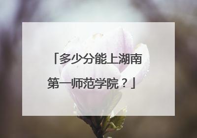 多少分能上湖南第一师范学院？