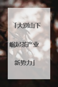 大别山下崛起茶产业新势力