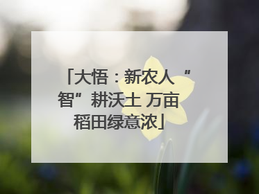 大悟：新农人“智”耕沃土 万亩稻田绿意浓
