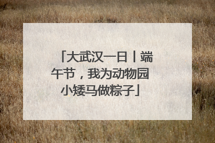 大武汉一日丨端午节，我为动物园小矮马做粽子