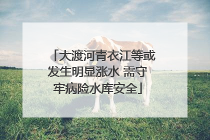 大渡河青衣江等或发生明显涨水 需守牢病险水库安全