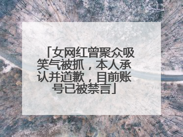 女网红曾聚众吸笑气被抓，本人承认并道歉，目前账号已被禁言