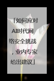 如何应对AI时代网络安全挑战，业内专家给出建议
