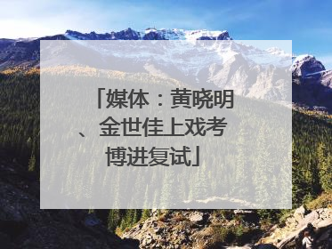 媒体：黄晓明、金世佳上戏考博进复试