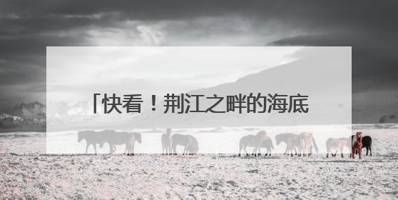 快看！荆江之畔的海底星空 你去打卡了吗？
