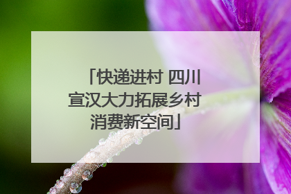 快递进村 四川宣汉大力拓展乡村消费新空间