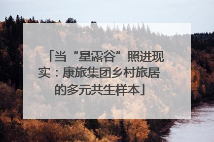 当“星露谷”照进现实：康旅集团乡村旅居的多元共生样本
