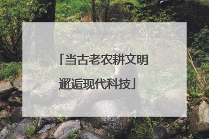 当古老农耕文明邂逅现代科技