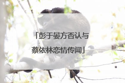 彭于晏方否认与蔡依林恋情传闻