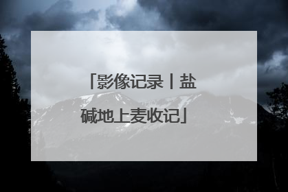 影像记录丨盐碱地上麦收记