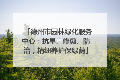 德州市园林绿化服务中心：抗旱、修剪、防治，精细养护保绿荫