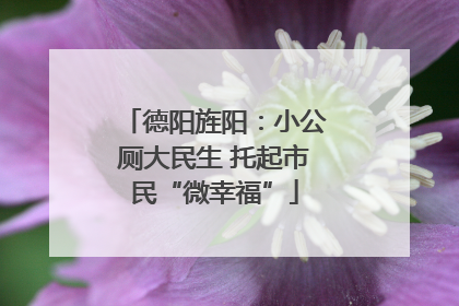 德阳旌阳：小公厕大民生 托起市民“微幸福”