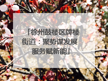 徐州鼓楼区牌楼街道：聚势谋发展 服务赋新能