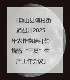 微山县傅村街道召开2025年农作物秸秆禁烧暨“三夏”生产工作会议