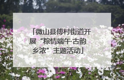 微山县傅村街道开展“粽情端午·古韵乡浓”主题活动