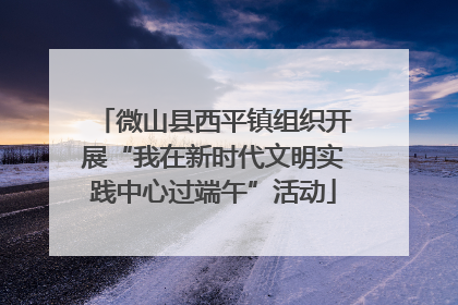 微山县西平镇组织开展“我在新时代文明实践中心过端午”活动