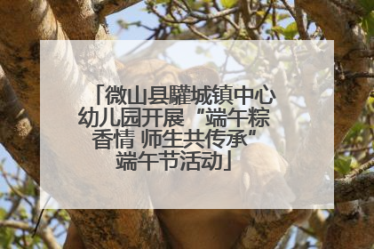 微山县驩城镇中心幼儿园开展“端午粽香情 师生共传承”端午节活动