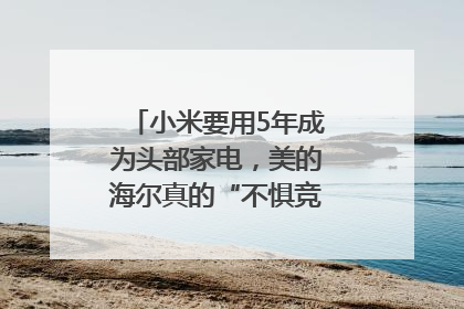 小米要用5年成为头部家电，美的海尔真的“不惧竞争”？｜热财经