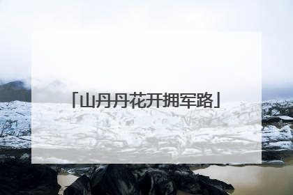 山丹丹花开拥军路