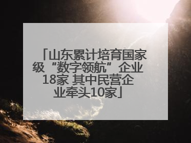 山东累计培育国家级“数字领航”企业18家 其中民营企业牵头10家