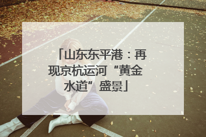 山东东平港：再现京杭运河“黄金水道”盛景