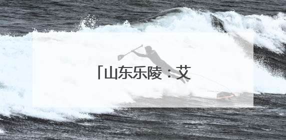 山东乐陵：艾草飘香销售忙