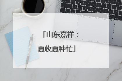 山东嘉祥：夏收夏种忙