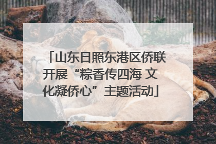 山东日照东港区侨联开展“粽香传四海 文化凝侨心”主题活动