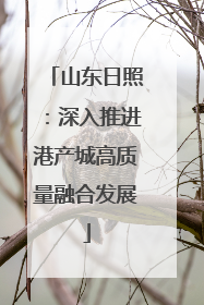 山东日照：深入推进港产城高质量融合发展